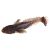 Віброхвіст Flagman Bullfish 2.5&quot; Peel nut